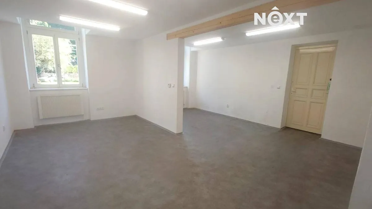 Pronájem obchodního prostoru 50 m²